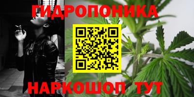 индика Туймазы