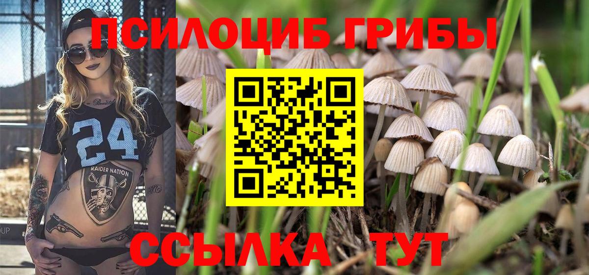 Благодарный  Псилоцибиновые грибы прущие грибы  купить   Вход с VPN 