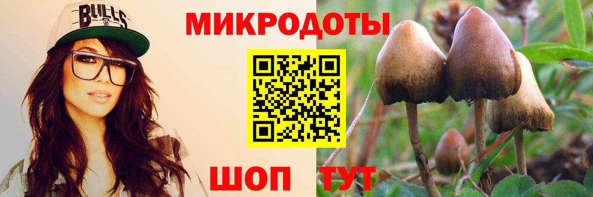 Галлюциногенные грибы мицелий Благодарный